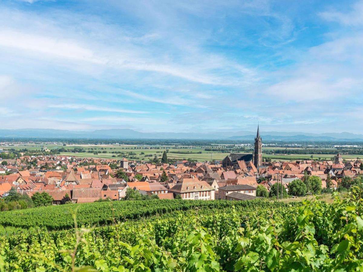 Charming Gite In Dambach La Ville With Terrace Exterior foto